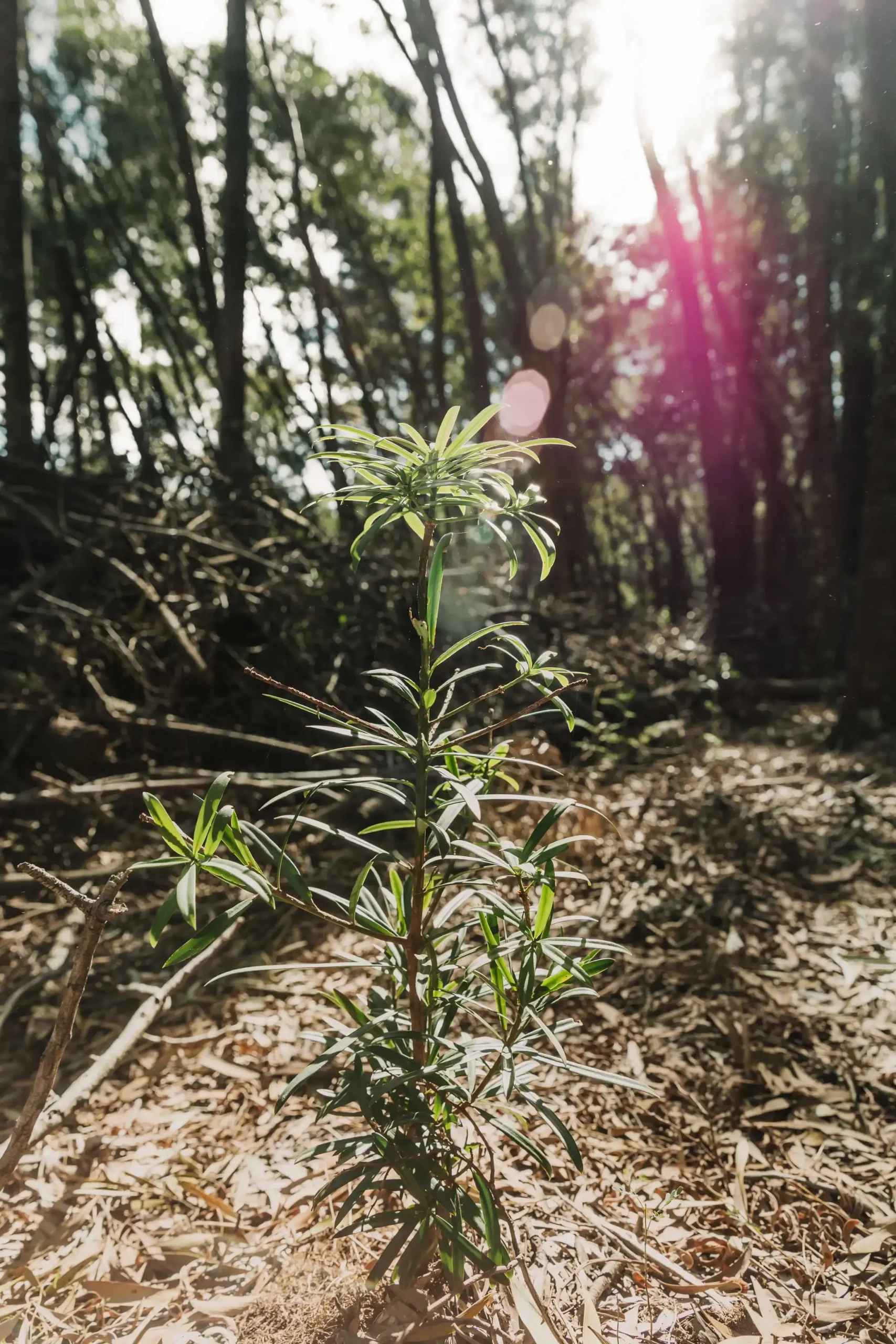 Feature story visual 1