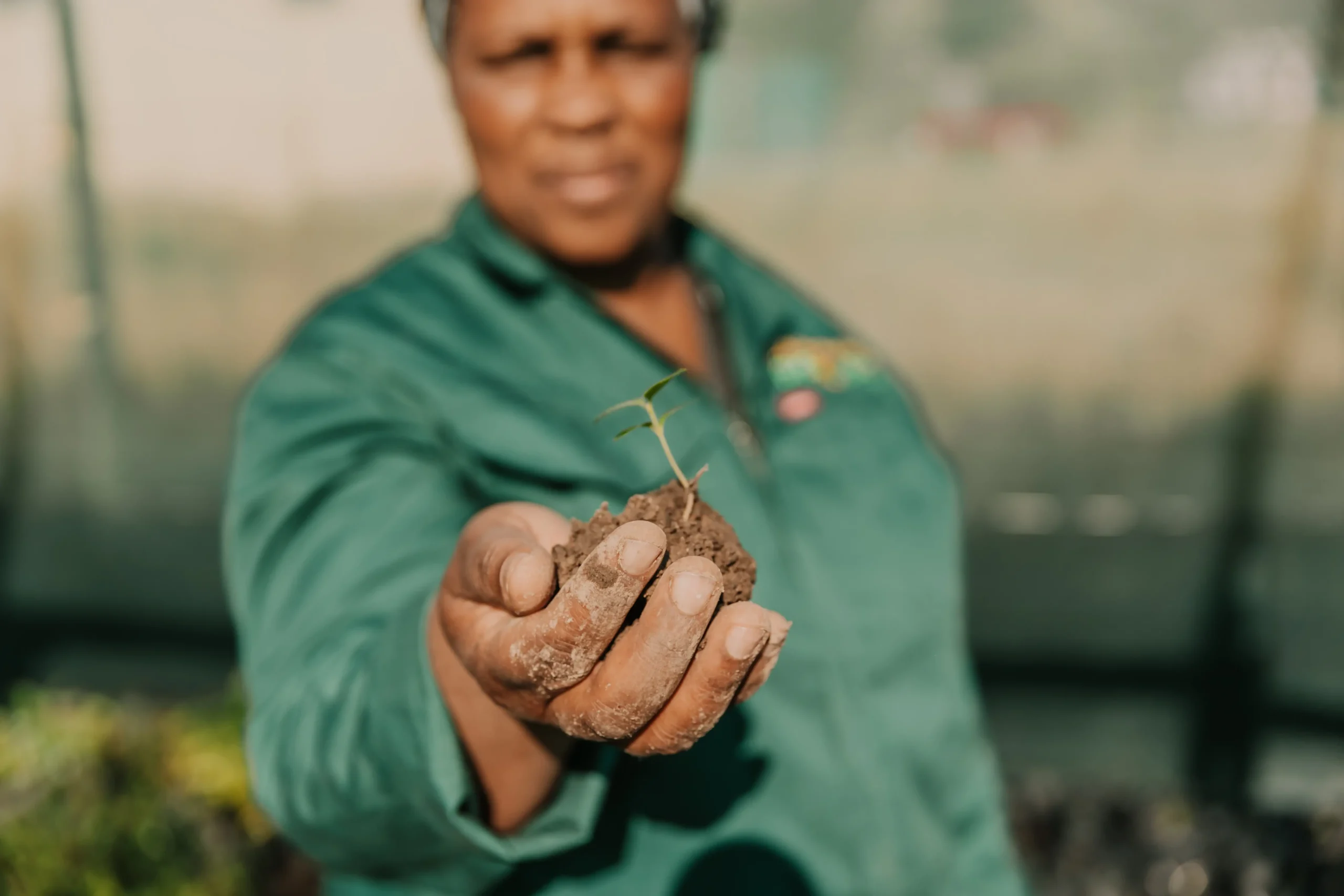 Forest habitat restoration landscape