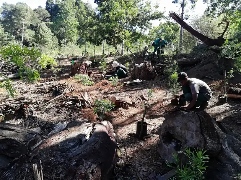 Feature story visual 2